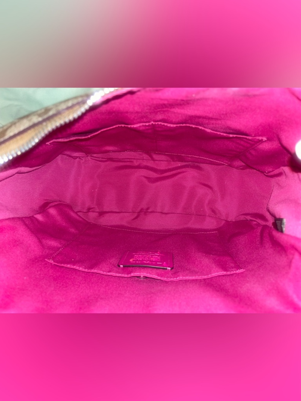 Coach Signature Elle Hobo Shoulder Bag 🥳 - Picture 6 of 10